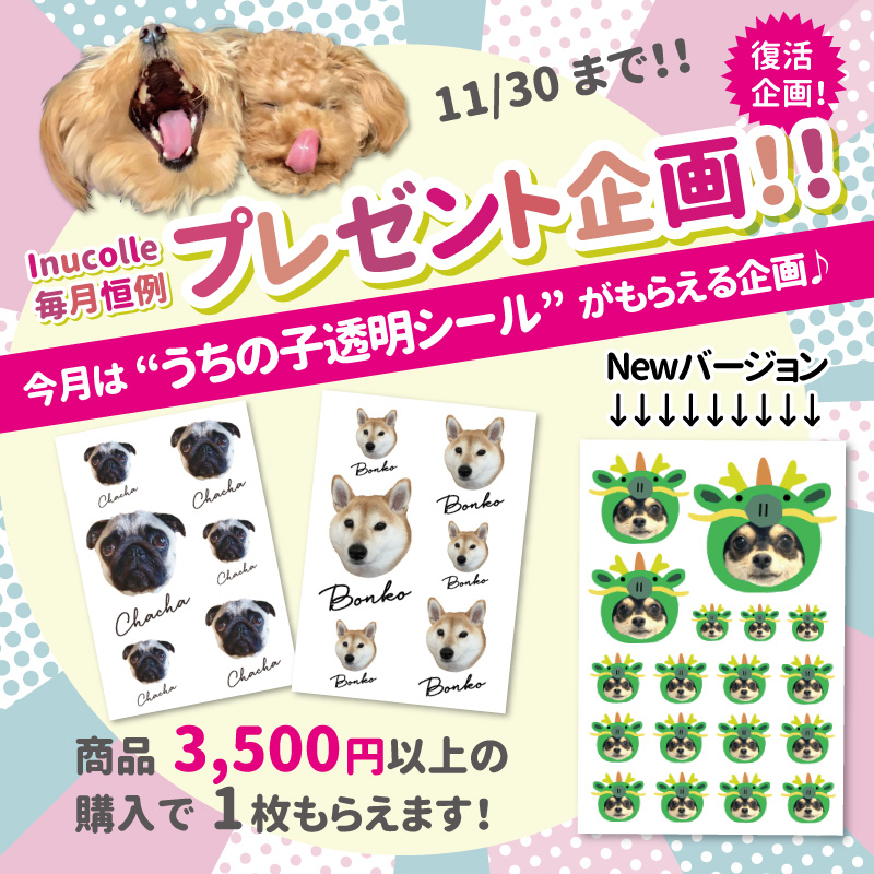 うちの子透明シールプレゼント！！（第2弾）