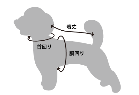 サイズガイド