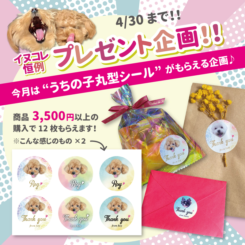 「うちの子丸型シール」をプレゼントします♪
