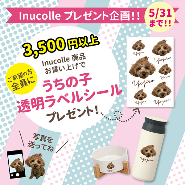 うちの子透明ラベルシール プレゼント企画