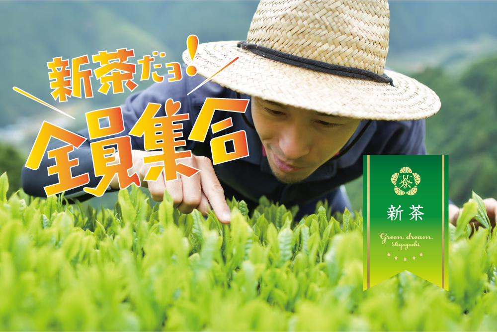 2023「新茶はしり」予約受付スタート！