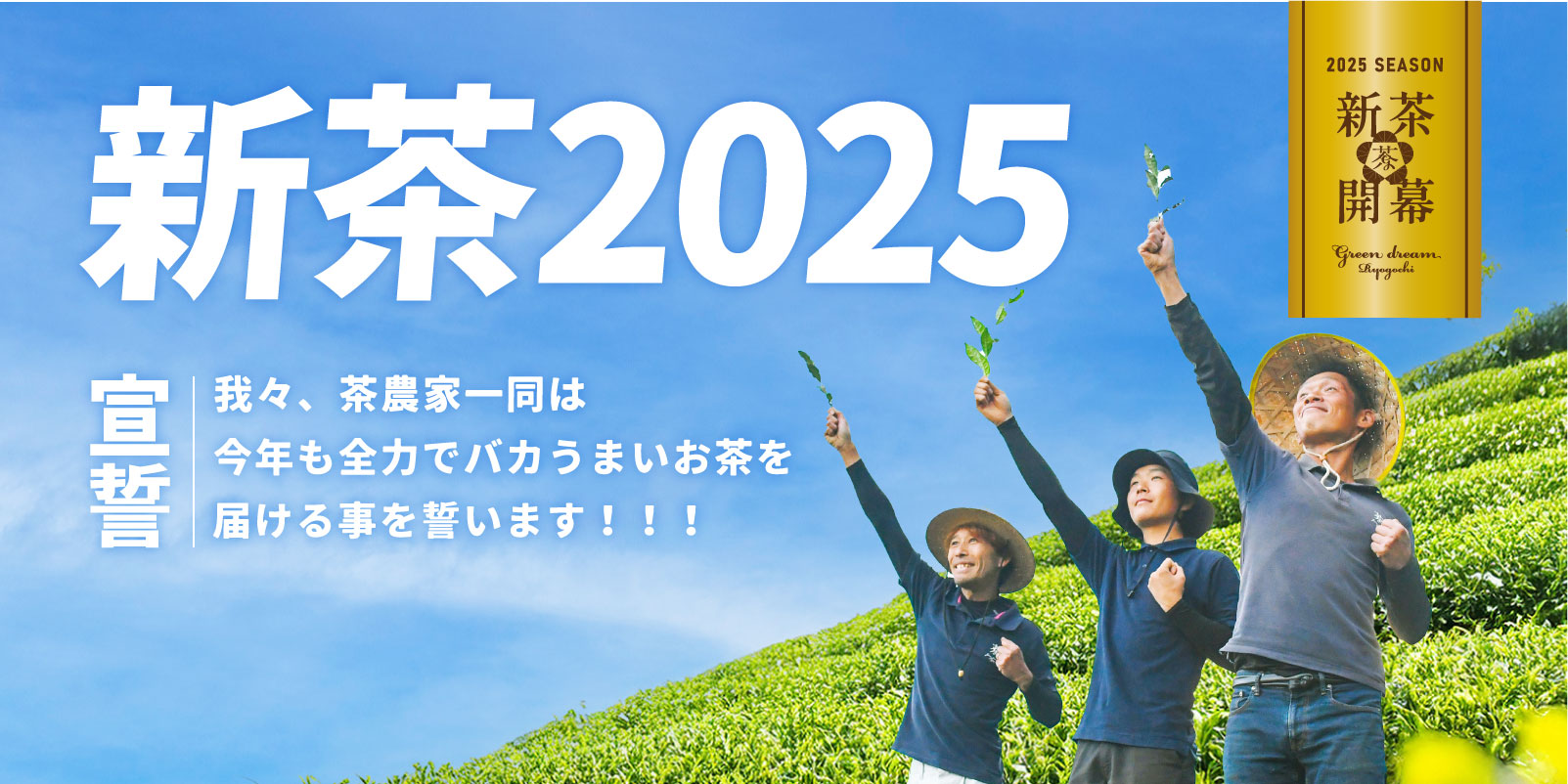 2025「新茶」いよいよ販売開始！