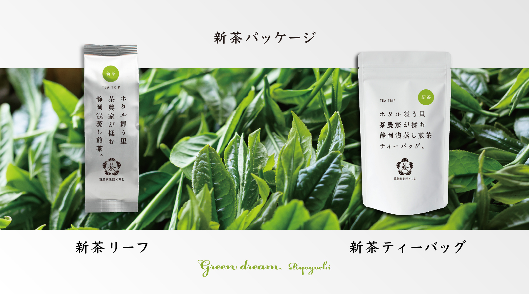 2025「新茶ティーバッグ」販売開始です！