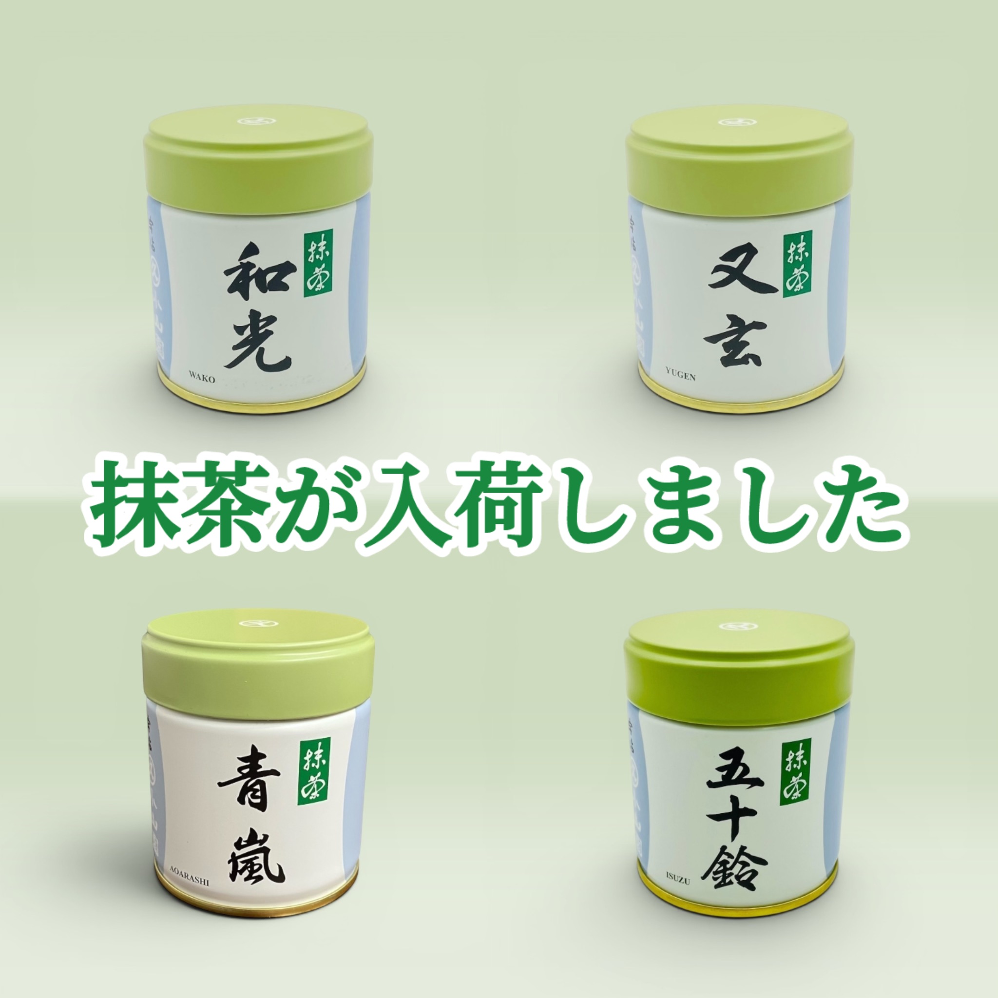 丸久小山園抹茶 入荷しました