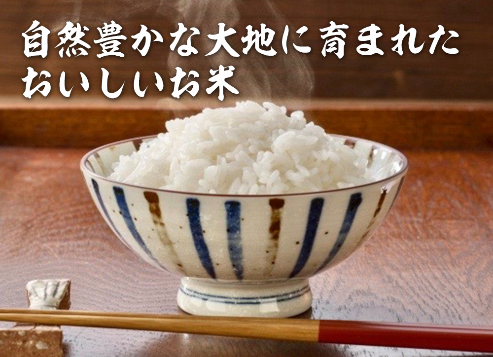 10月1日より、夢しずく（佐賀県橘産のお米）の販売を開始します