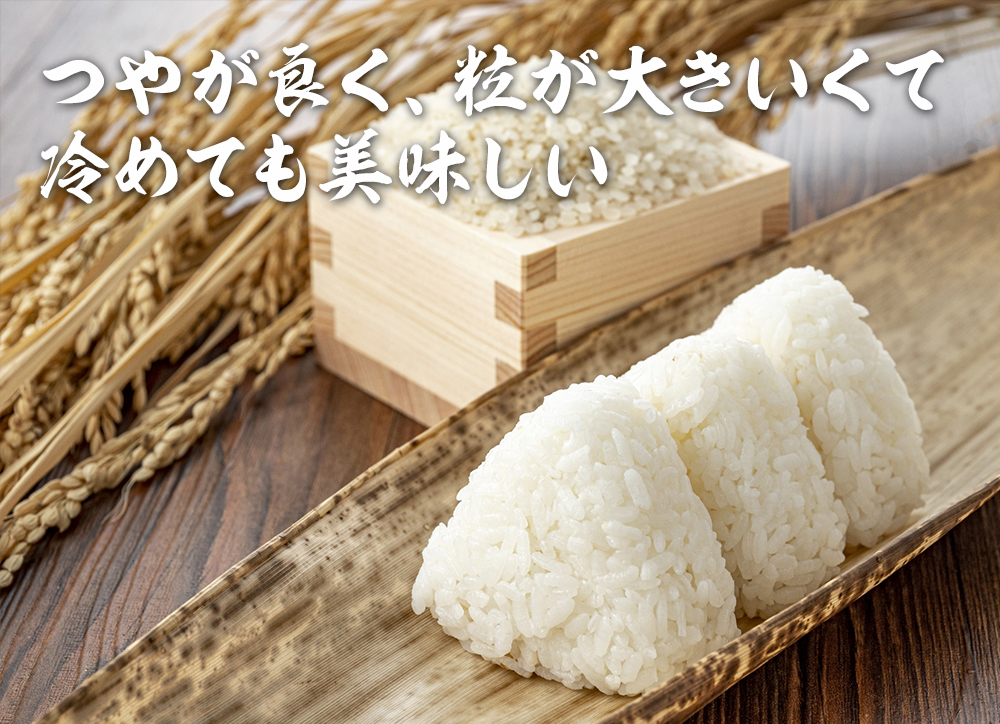 10月末より、さがびより（佐賀県橘産のお米）の販売を開始します