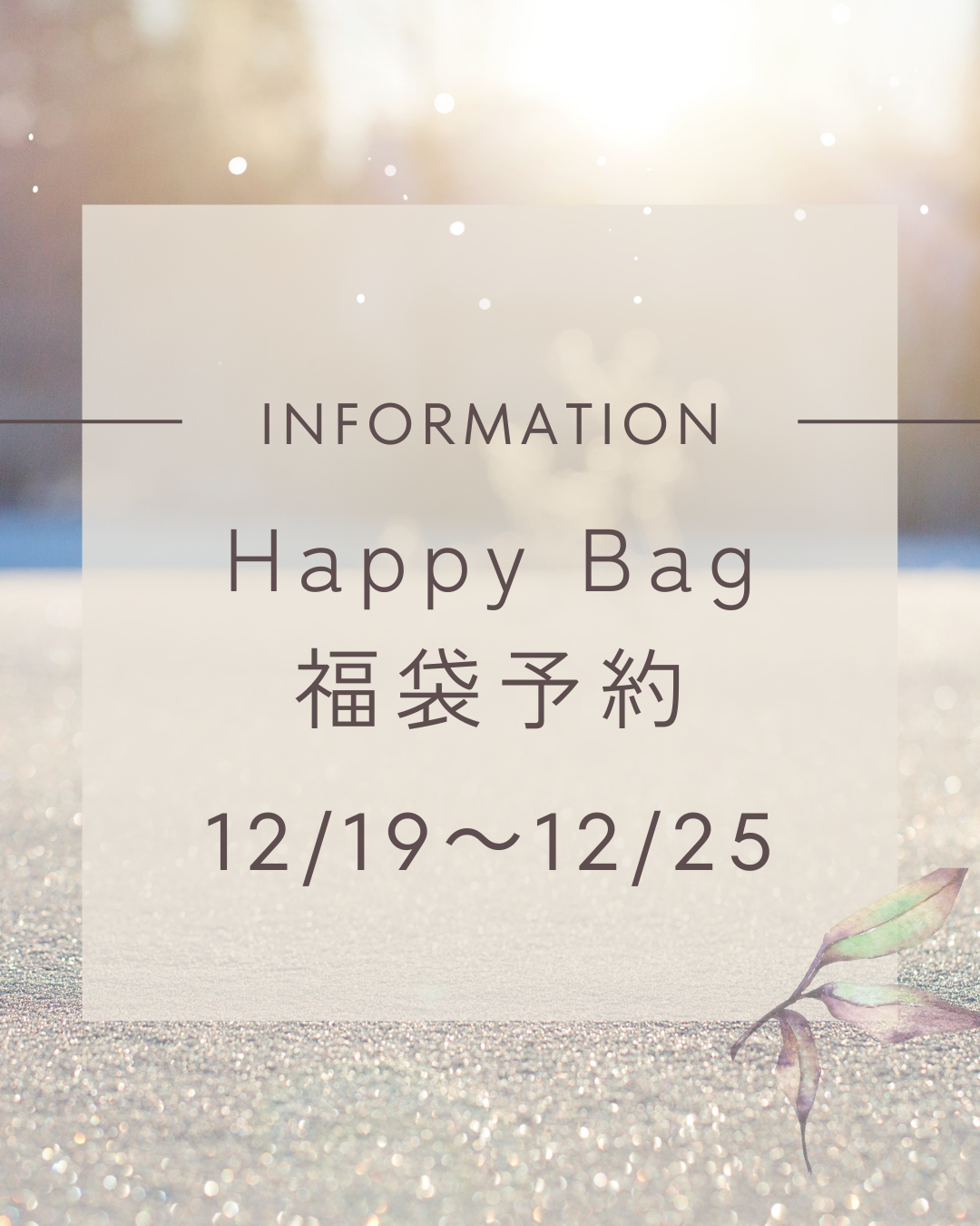 福袋予約開始！
