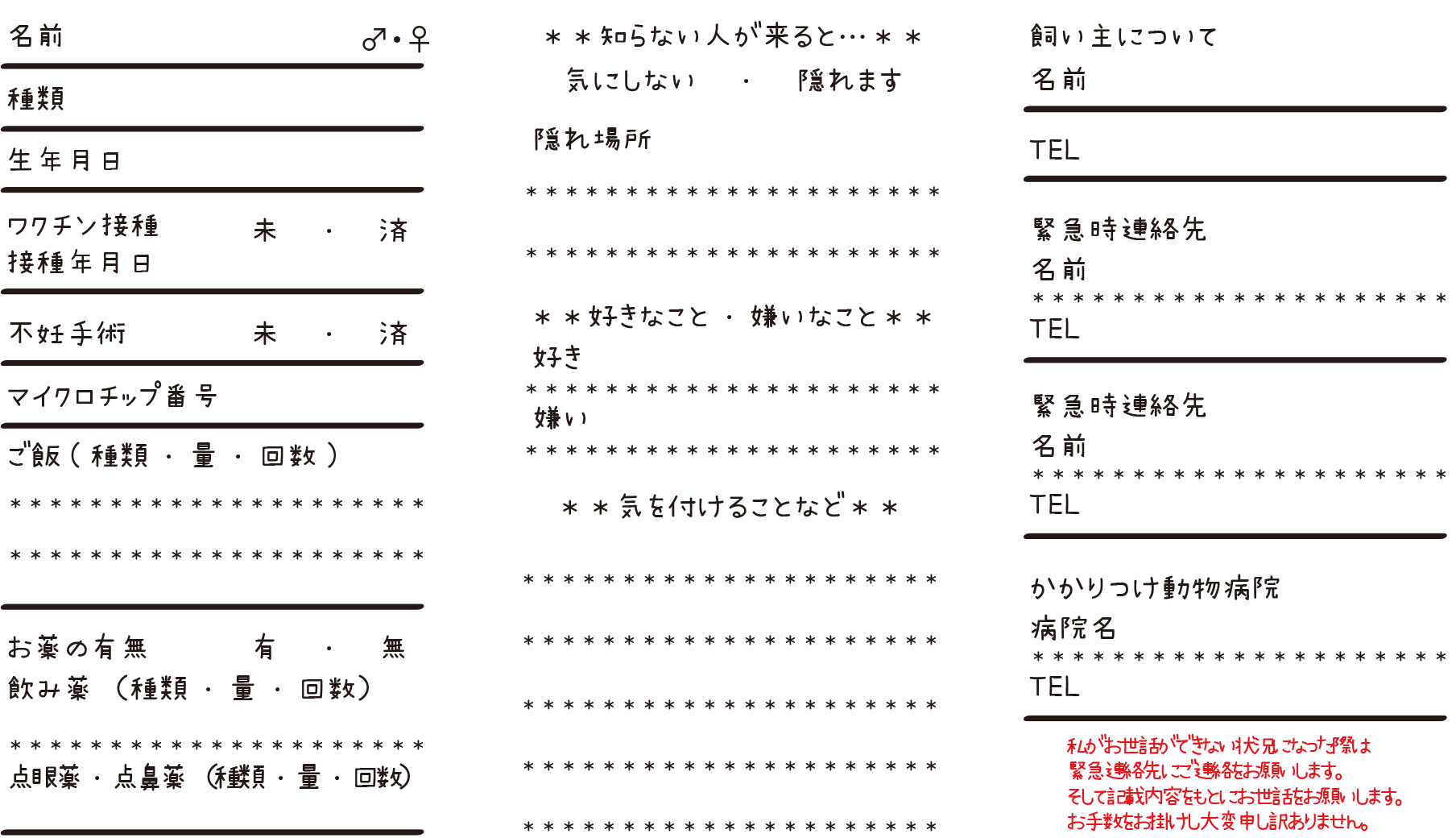 猫ちゃん用アイテム第3弾も登場予定です♪