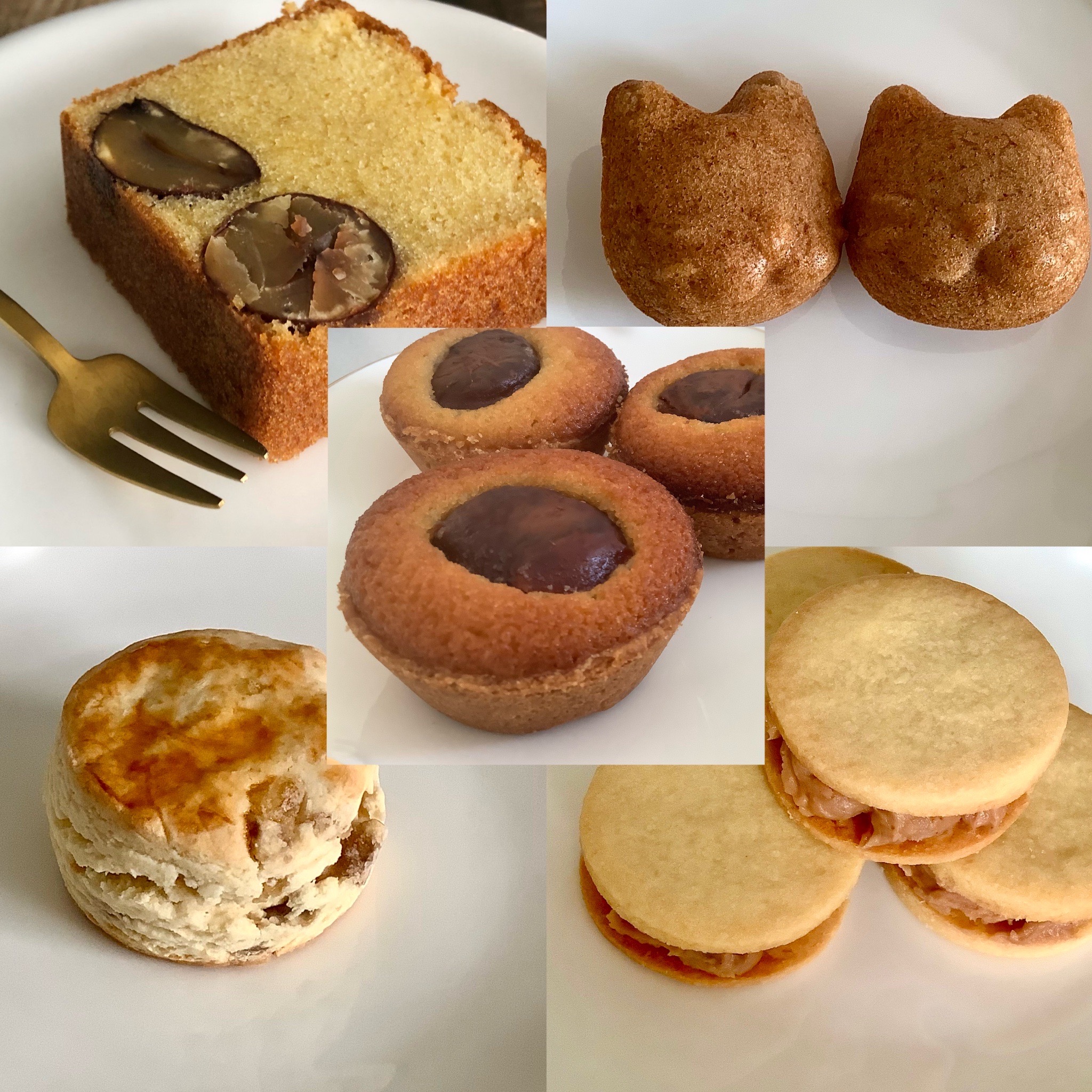 新商品追加のお知らせ