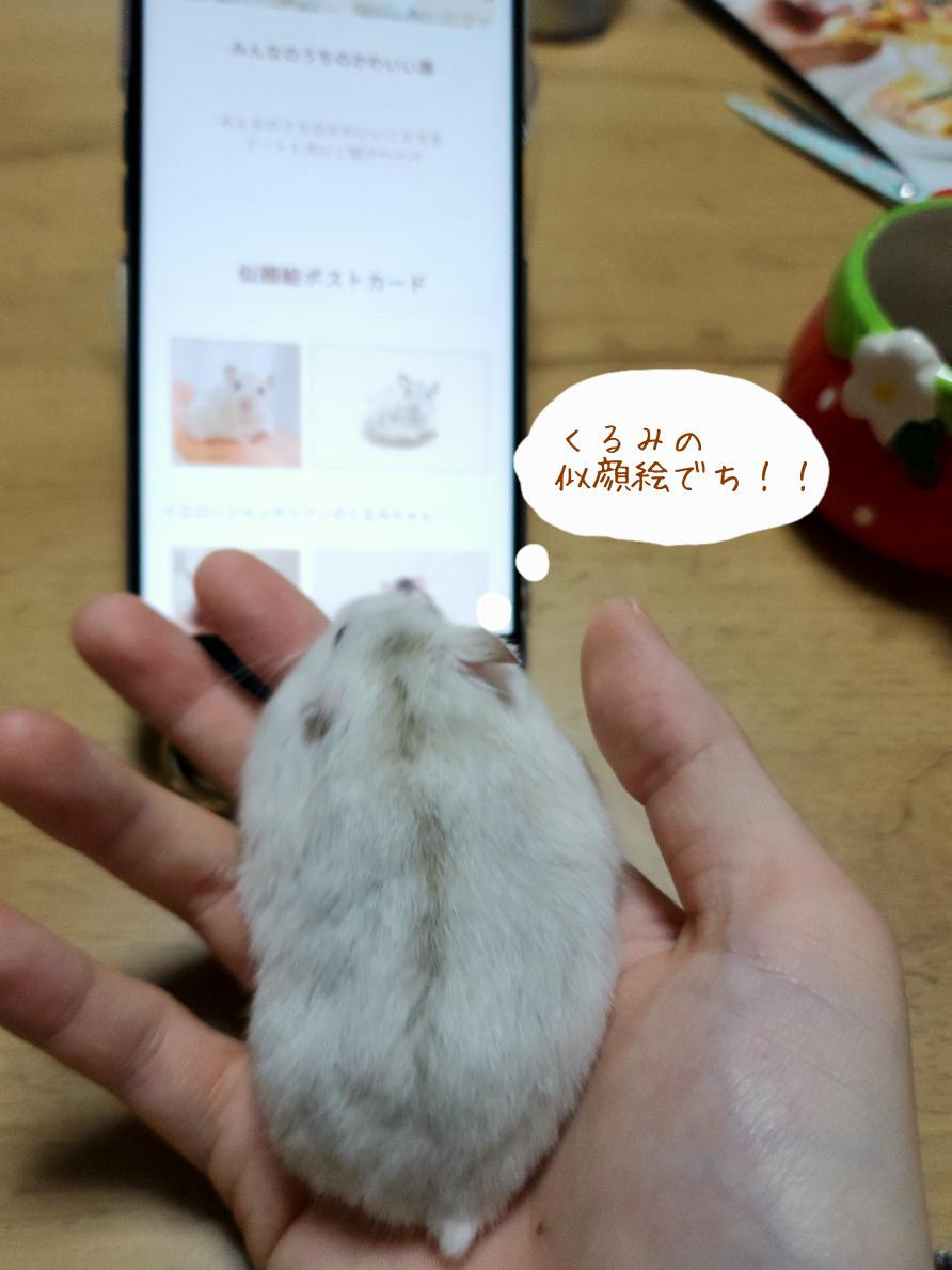 ご挨拶𓍯2023.2/1～プレオープン開始𓅯 ⸒⸒