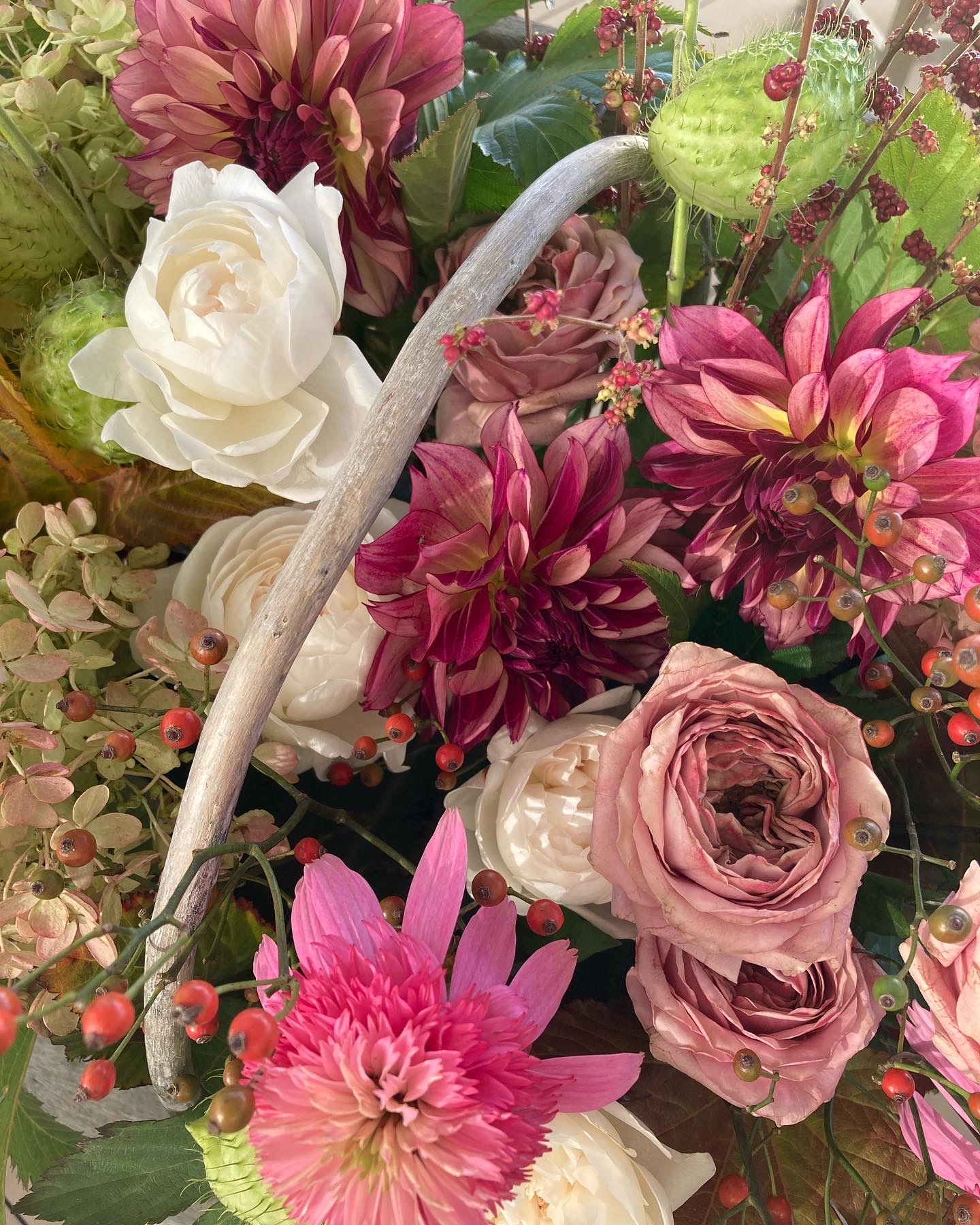 お花のこと 1
