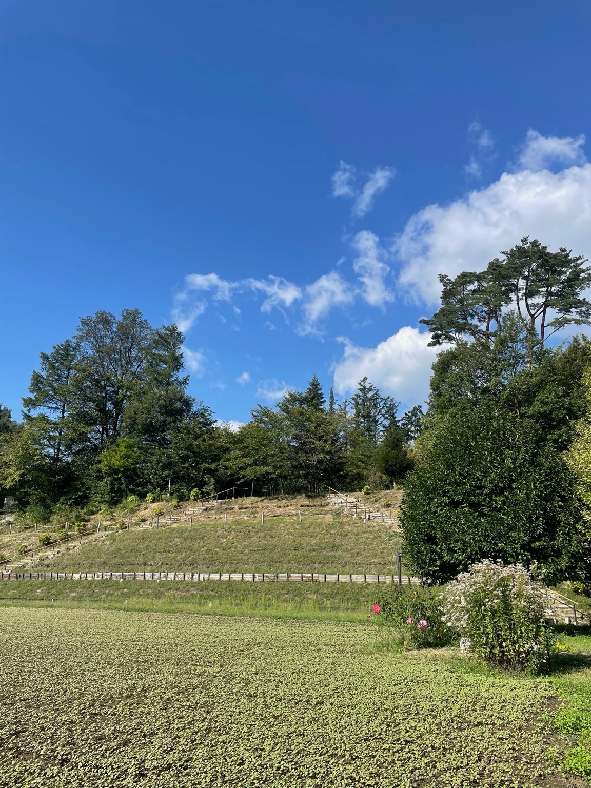 2025/09/17（水）まだまだ暑さは残りますが、きょうは澄んだ秋空のルビーの里。