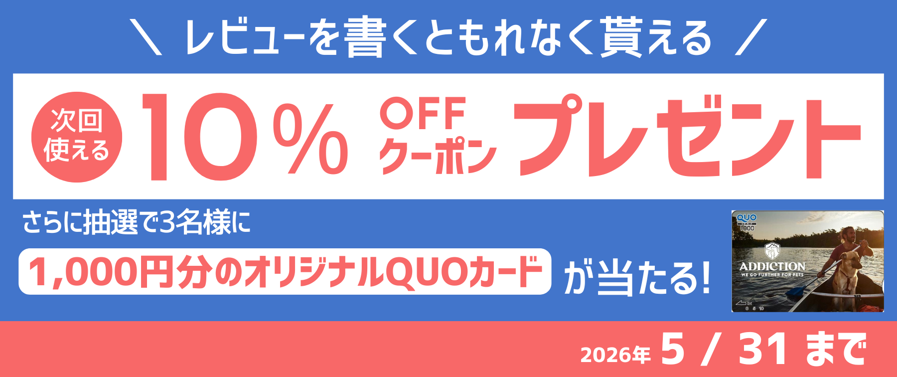 レビューキャンペーン📣2026年5月31日まで！