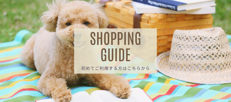 【ご購入前に必ずお読みください】