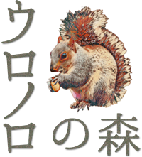 「ウロノロの森」ショップオープンしました！