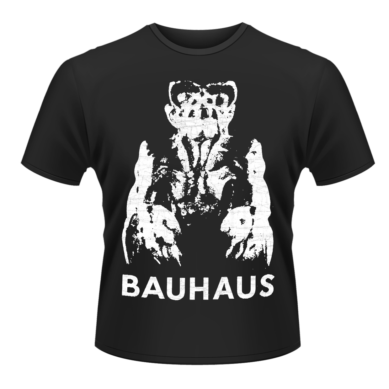 新入荷します。(Tシャツ)