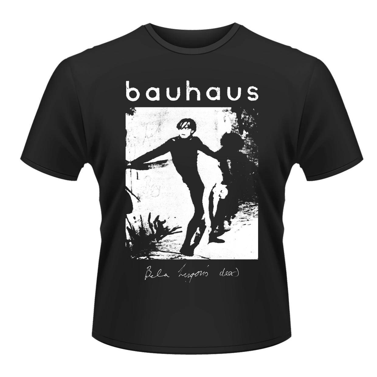 新入荷します。(Tシャツ)