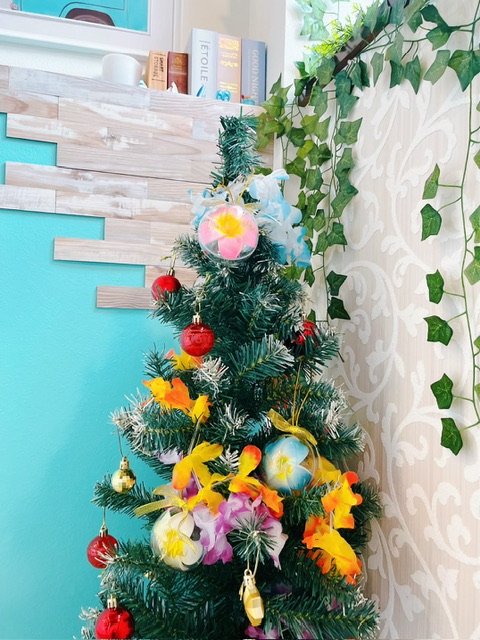 🌺クリスマスが今年もやってくる～♪今年は一味違ったクリスマスツリーでお祝いしよう