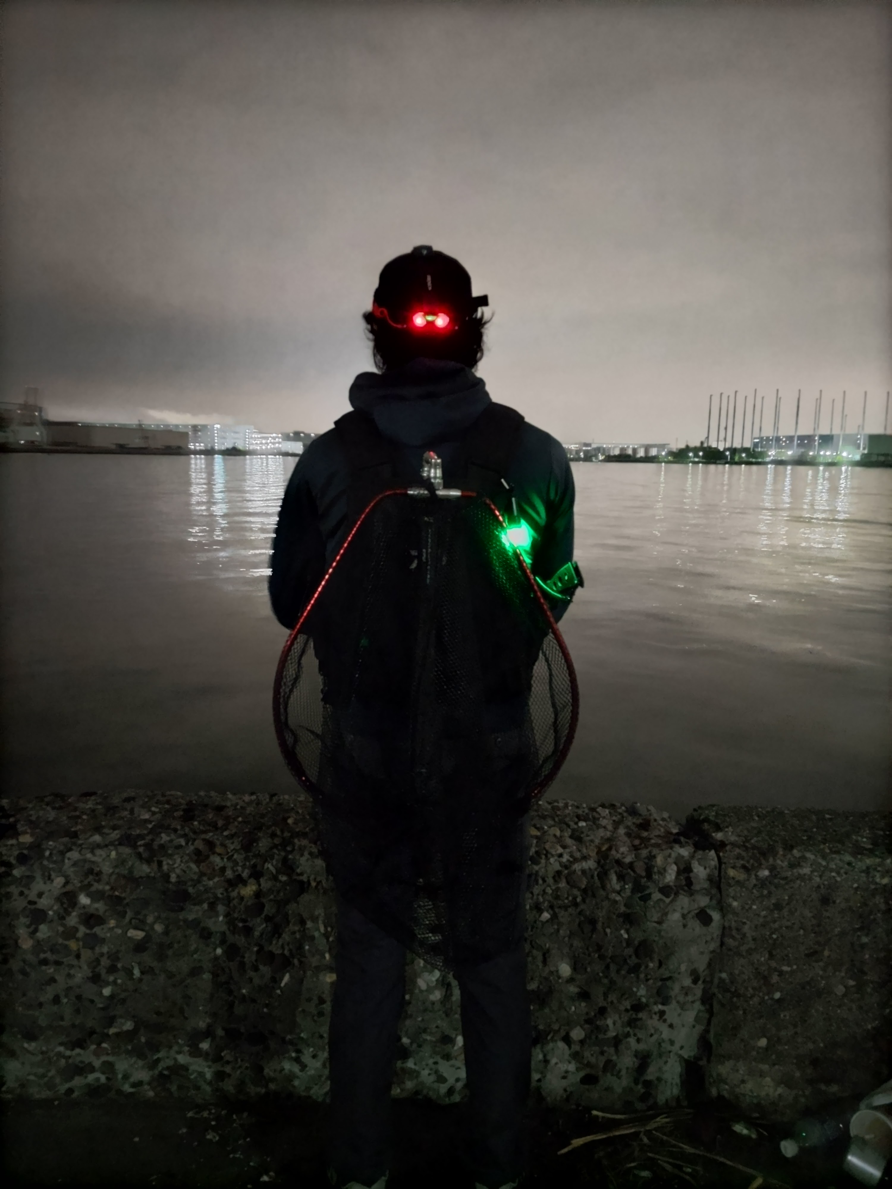 今年もお世話になりました。