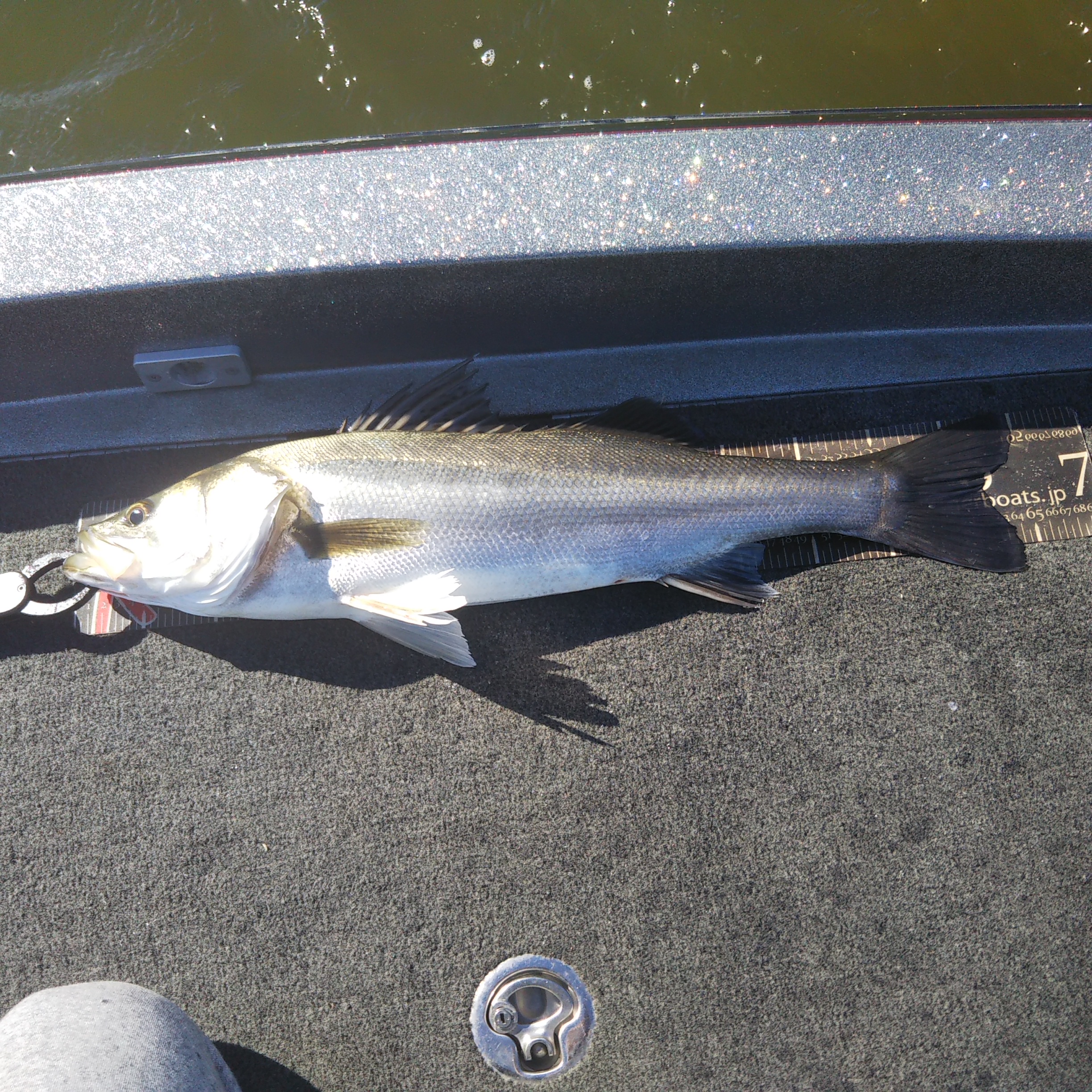 利根川の破壊力❗️
