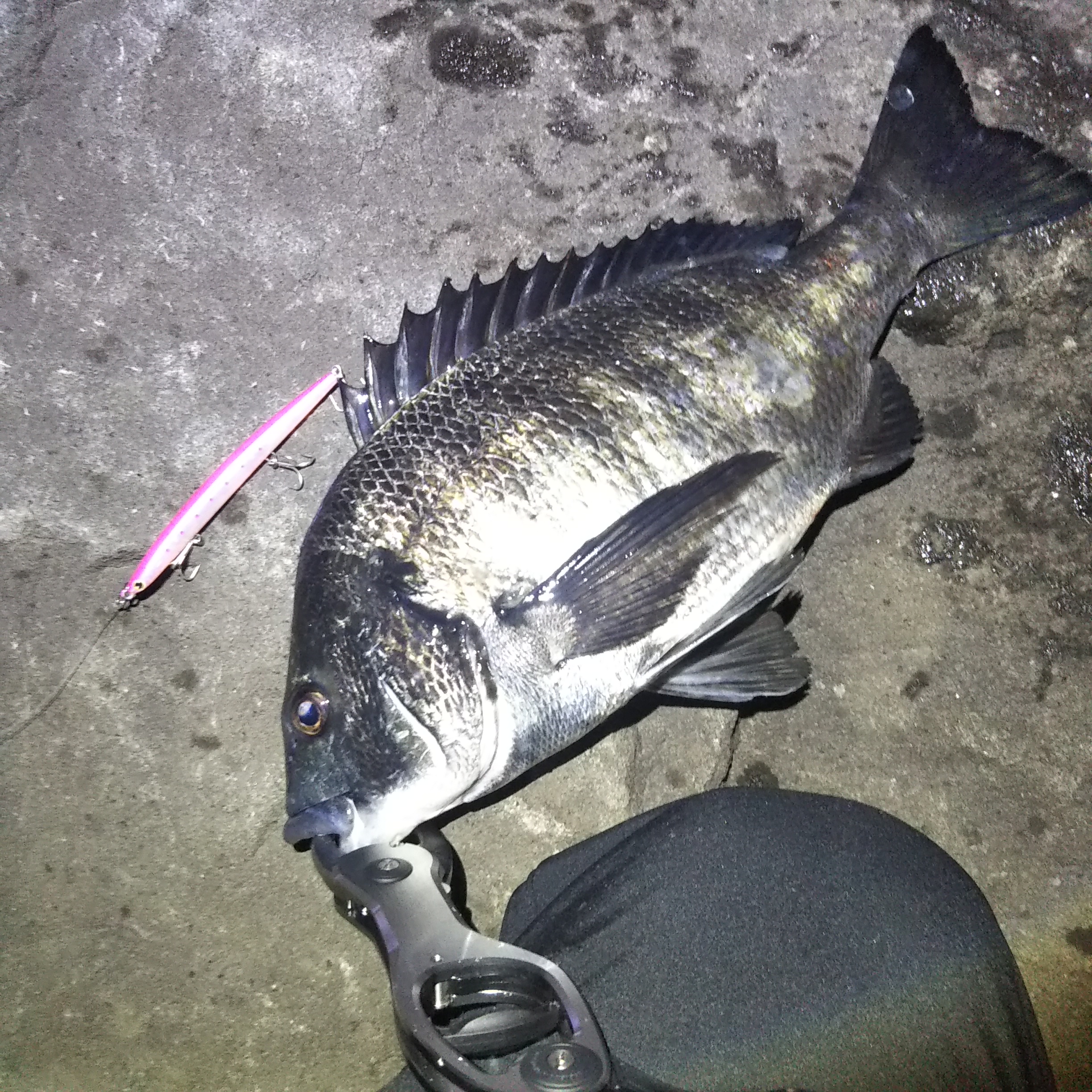 今日は旧江戸❗️