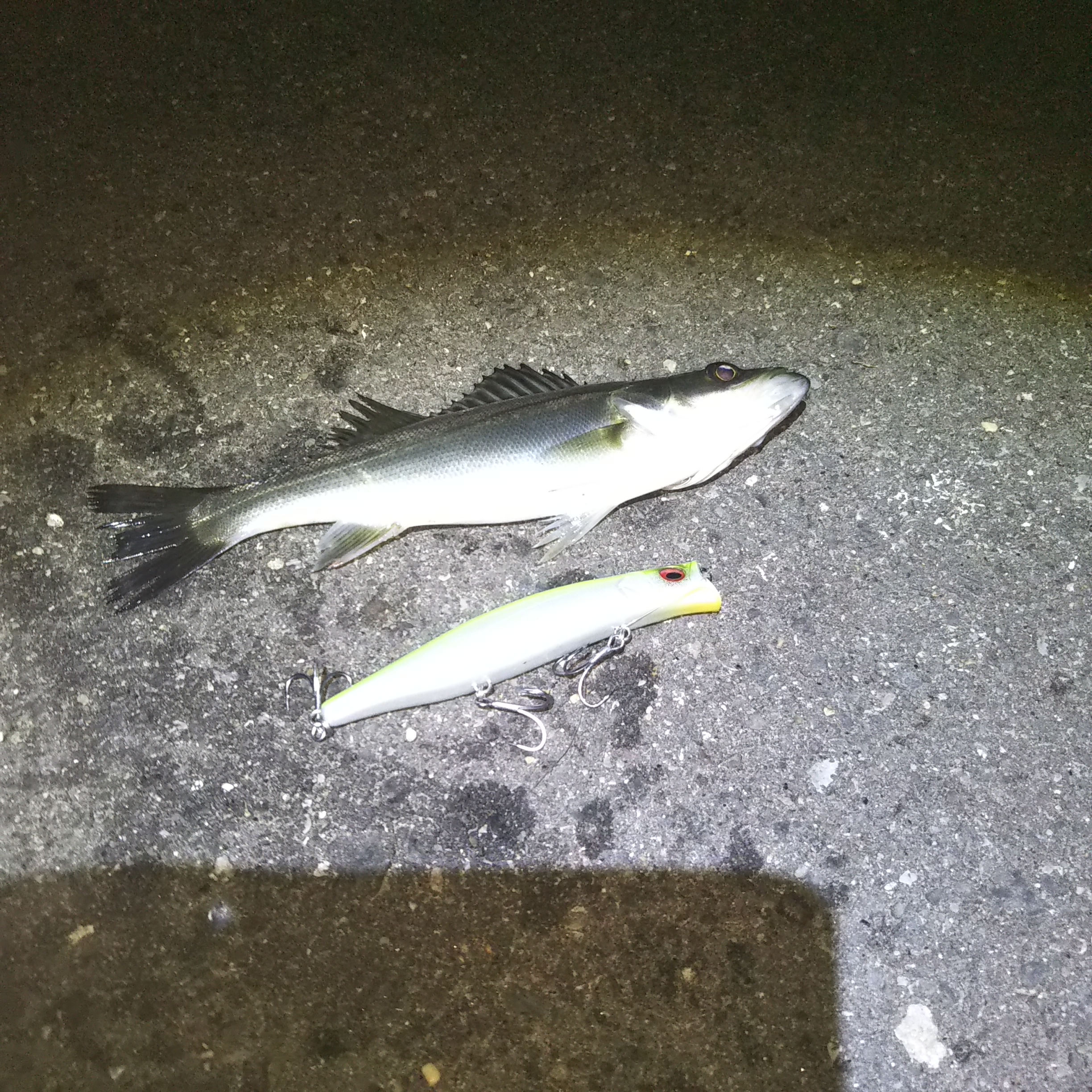 エリアチョイスは重要です❗️