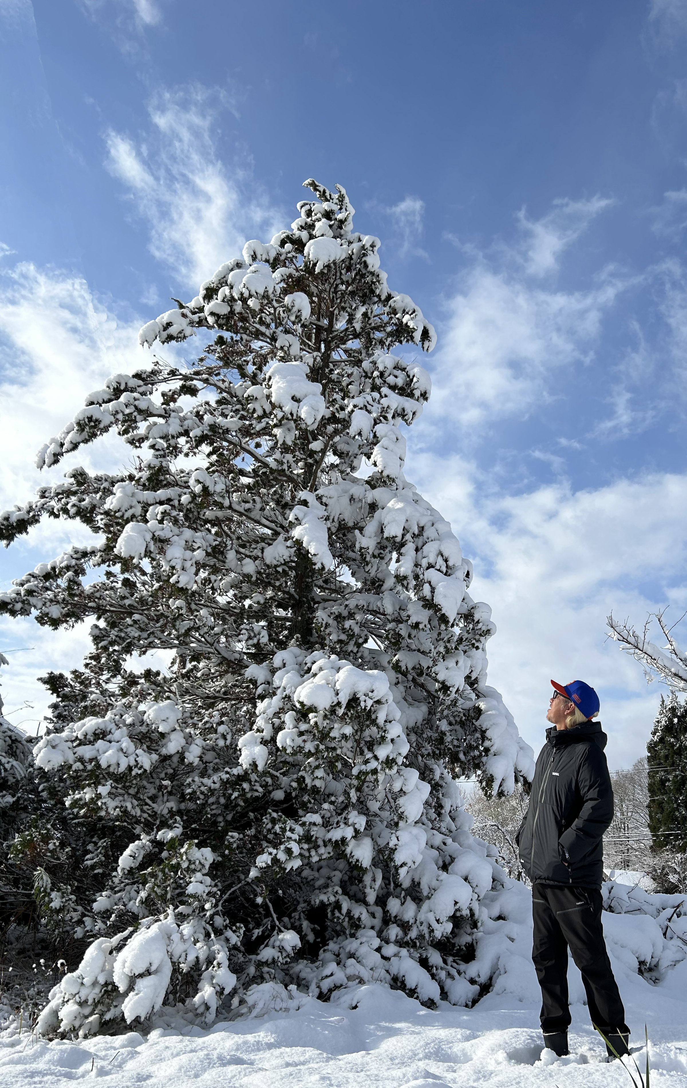 オンラインショップお休みのお知らせ