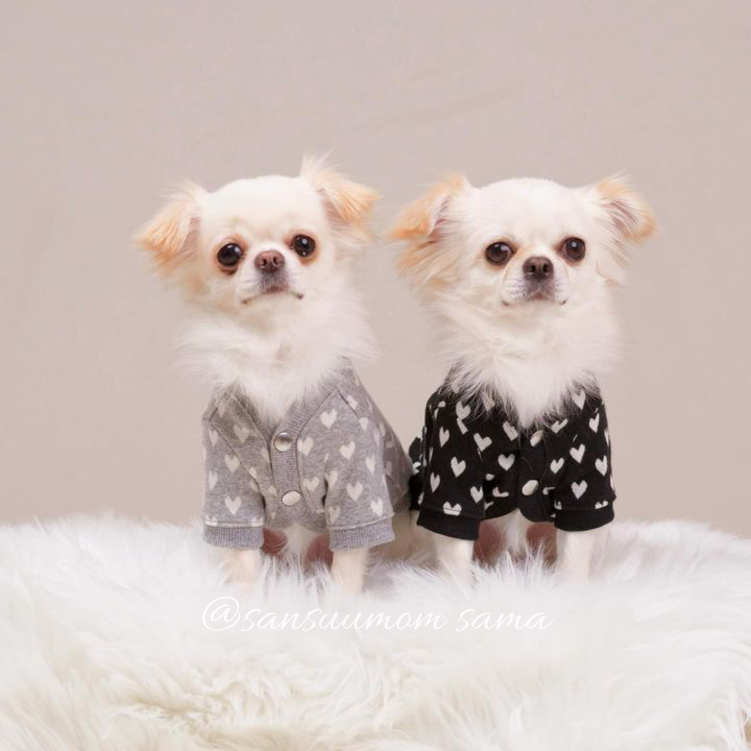 cool mini heart × sansuumom sama ♡