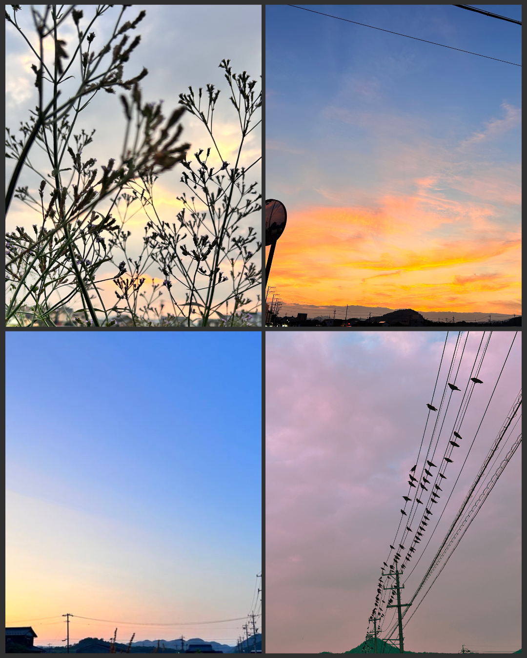 ウォーキングでみる世界