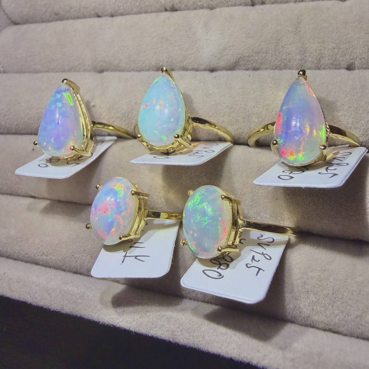 【☆12/20(土)20時〜インスタLIVE販売開催☆】