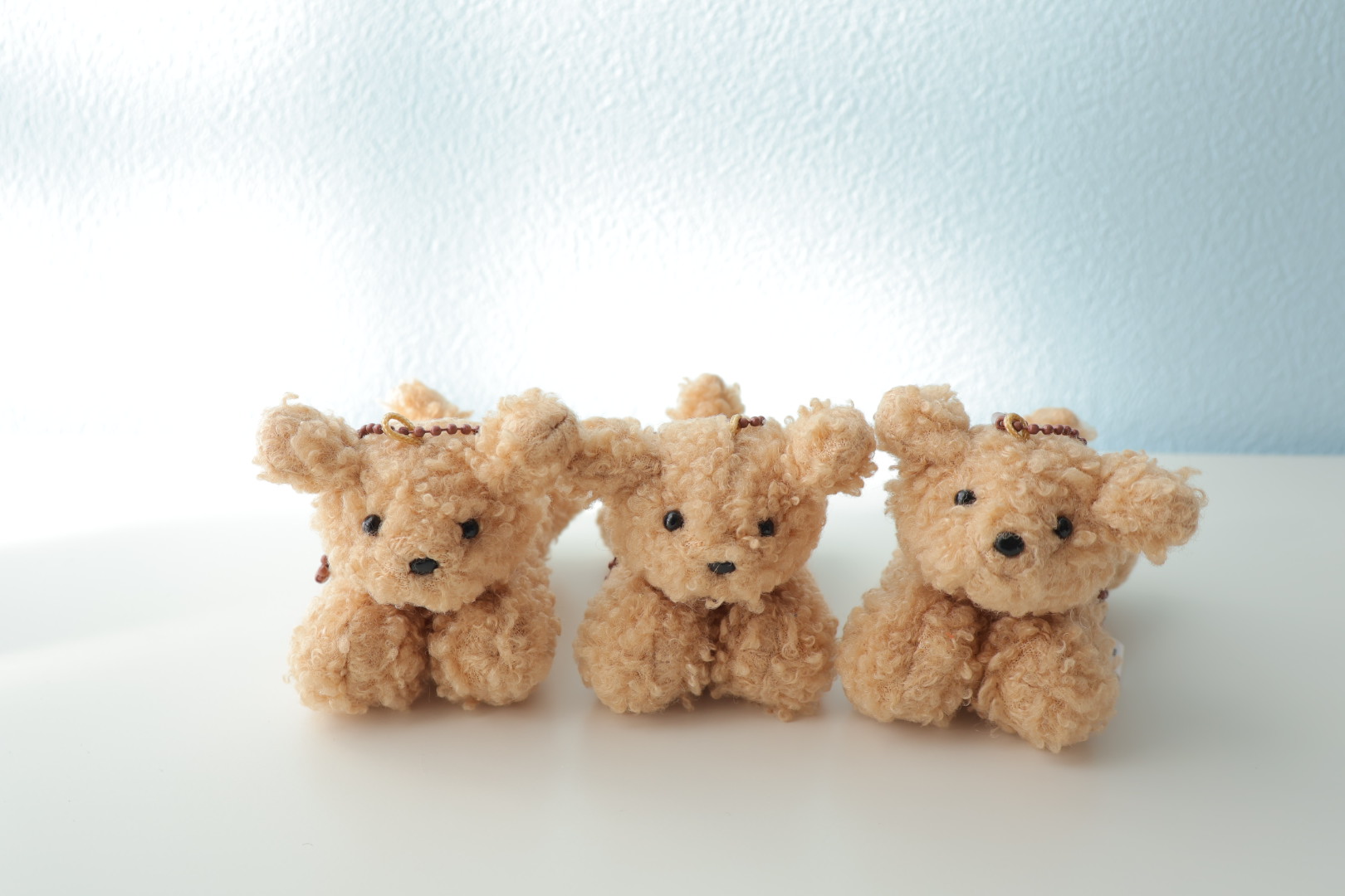 🐶ガチャわんこカラー紹介