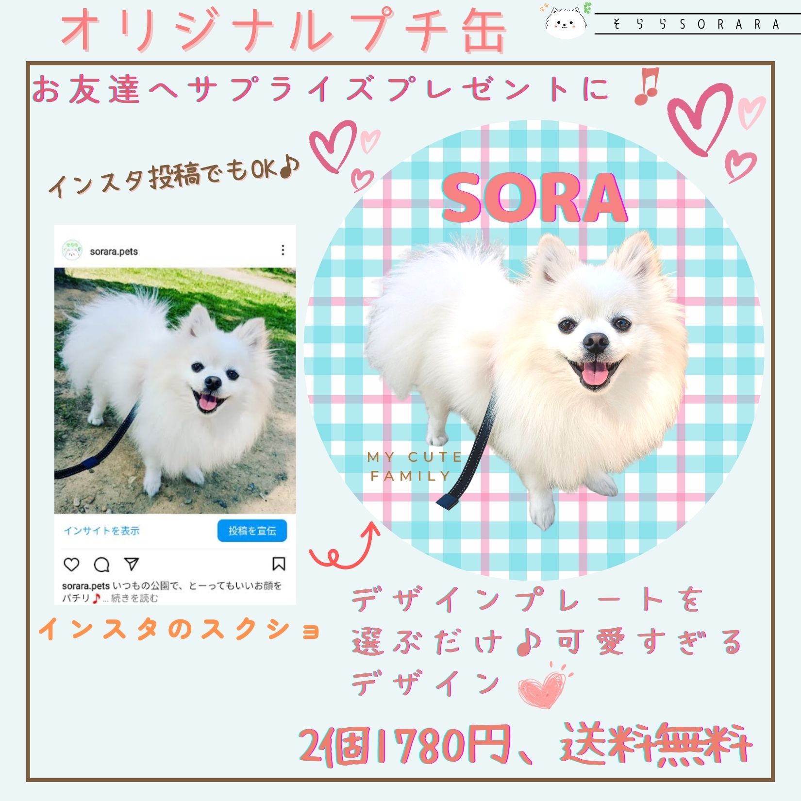 毎日インスタ投稿中！！：お客様のデザインご紹介中(看板犬 そら君)