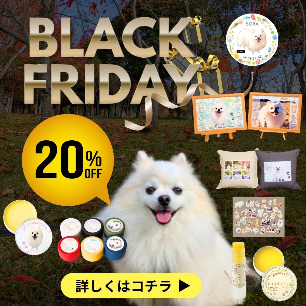 【ブラックフライデー】20%オフ　週末特別セール！！