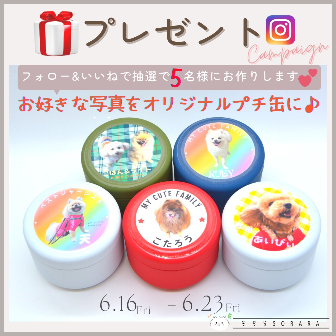 プレゼント企画🎶　プチ缶5名様にプレゼント📦　インスタにて好評開催中(6/16～6/23)