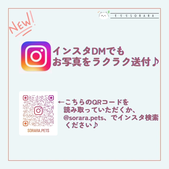インスタDM使えます！！　車用ステッカー、オリジナルプチ缶の写真送付及びお打ち合わせ