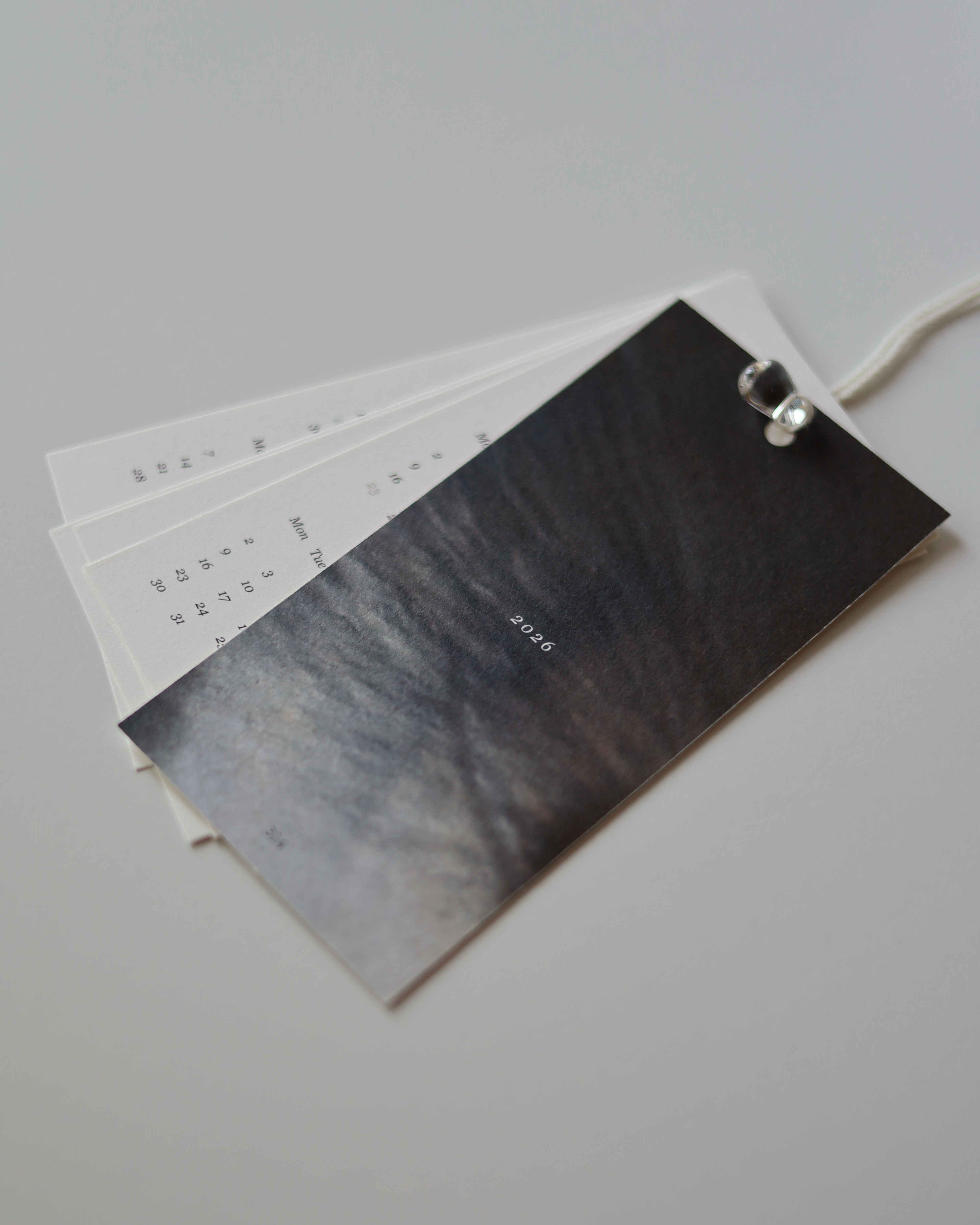 [Novelty] 2026 Calendar