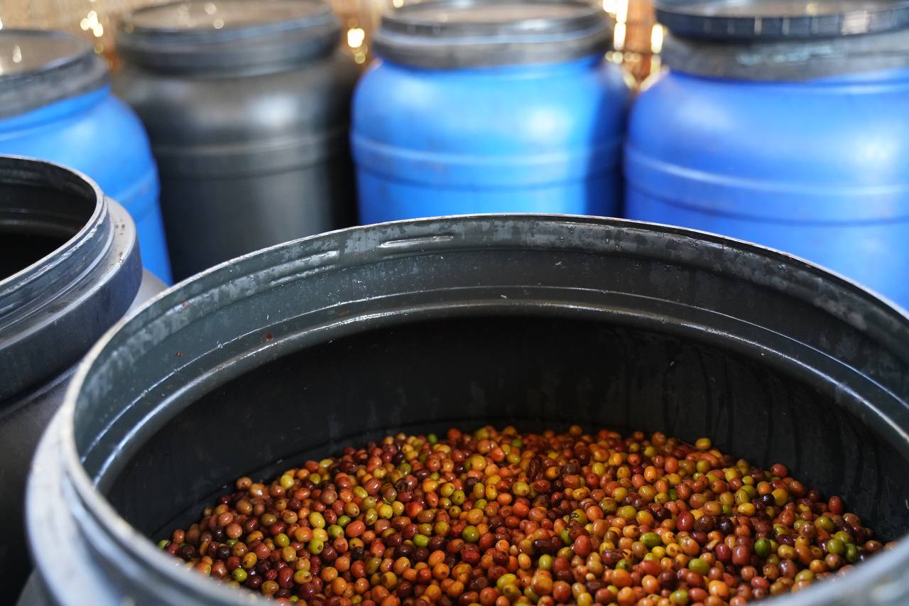 ラインナップが変わりました!