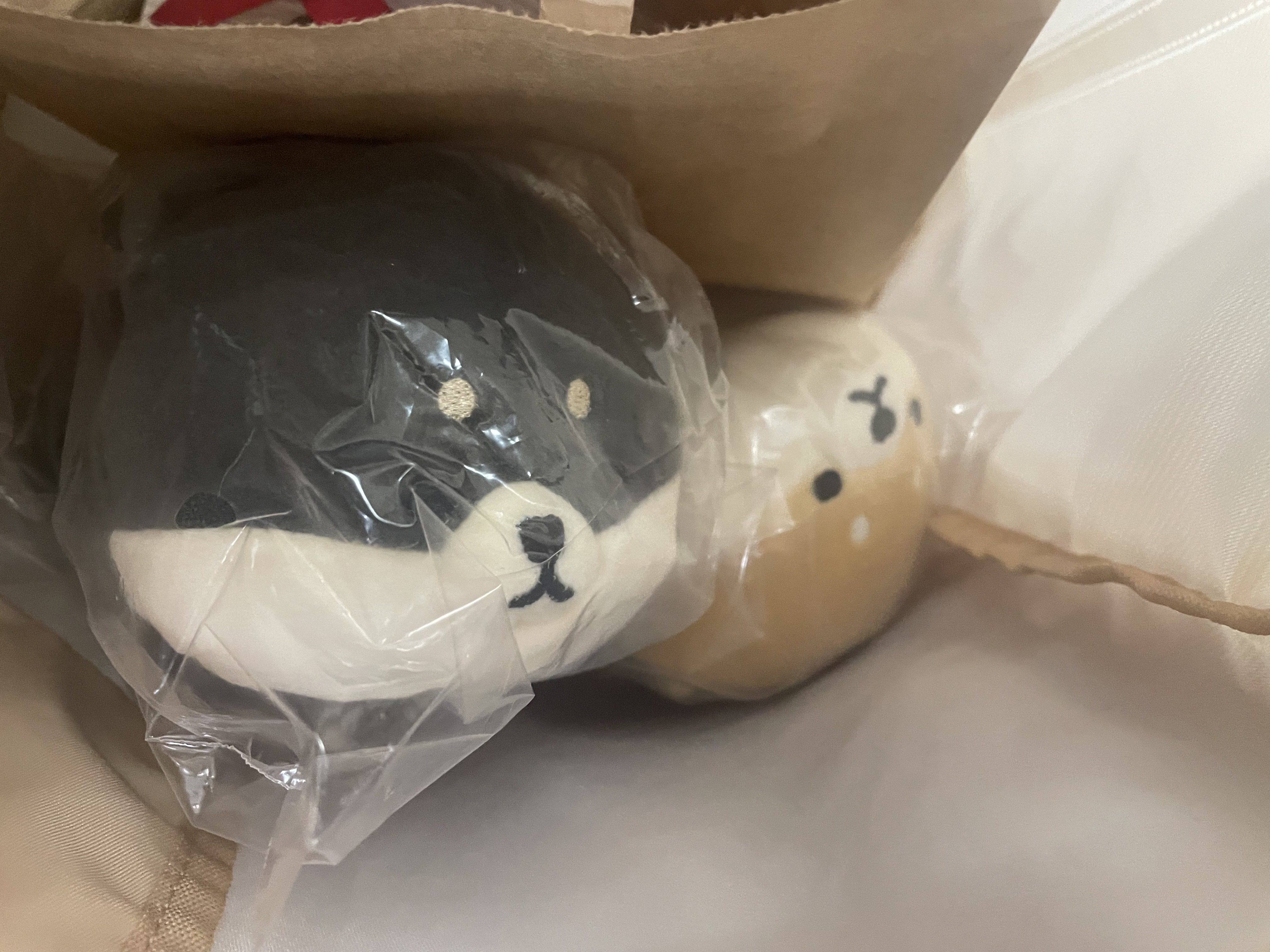 ブログと言うよりアルバム③