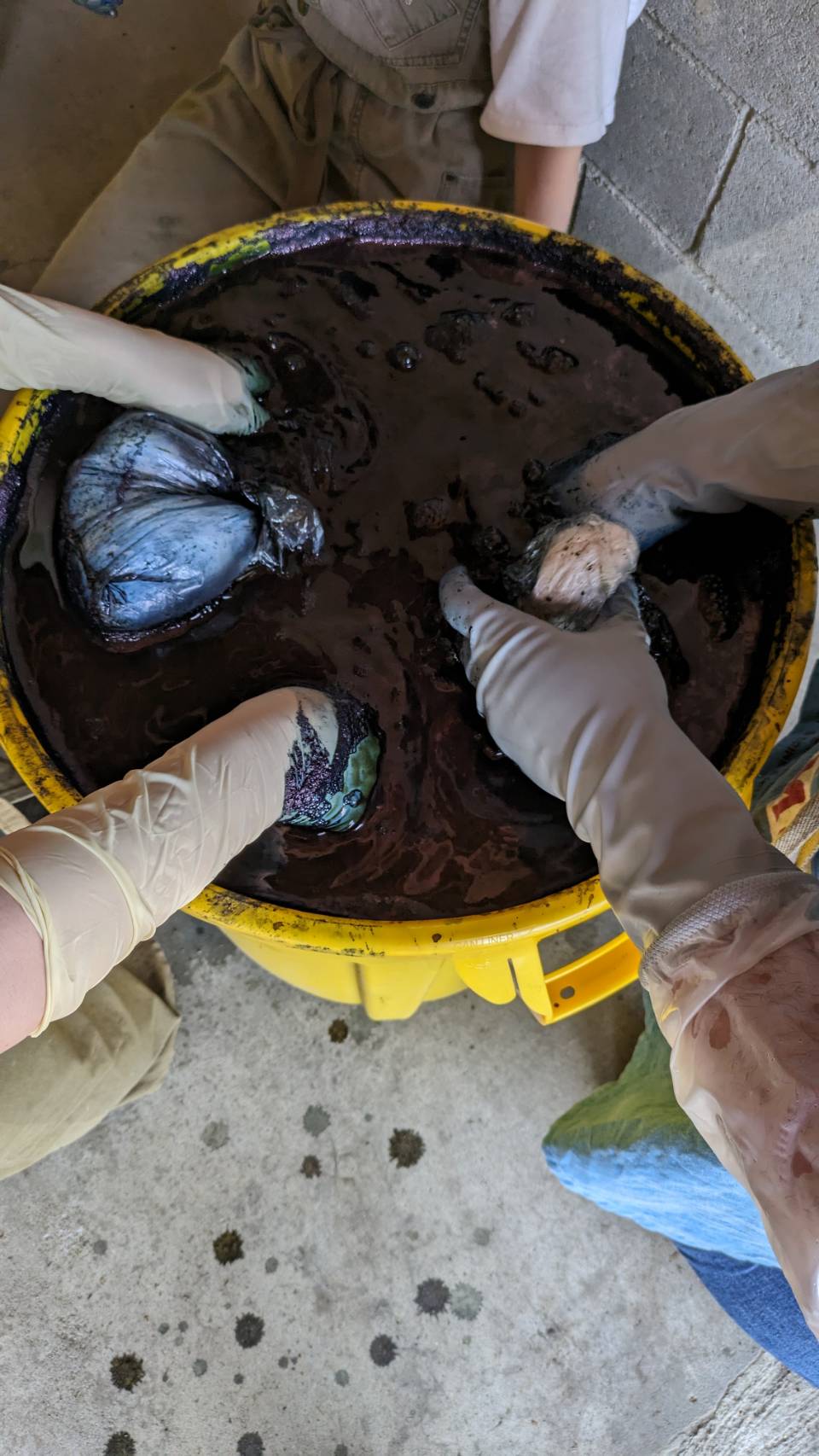 藍染めワークショップ、そしてこけしウィークもまもなくです。