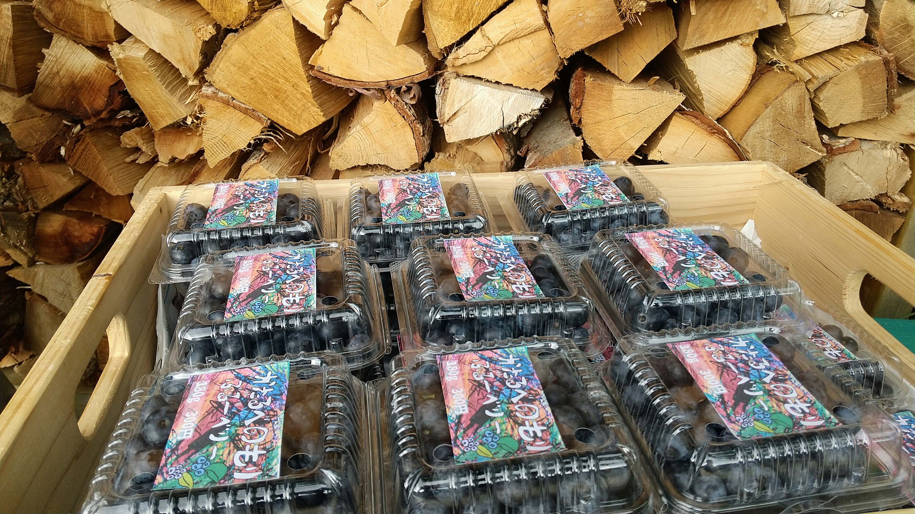 おまたせっ！プルーベリー入荷！！