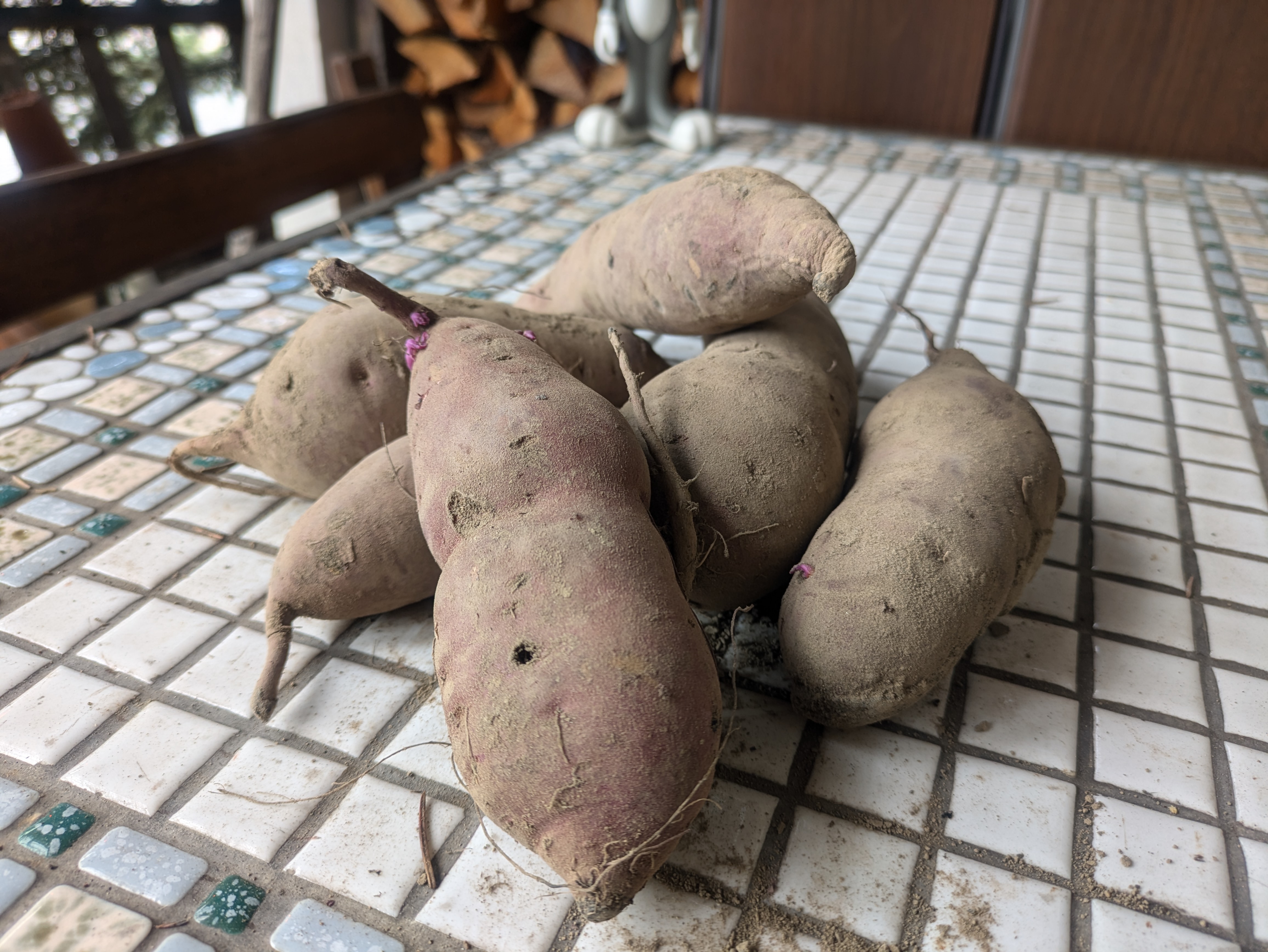 きむらサンちのさつまいもハネ品を販売！