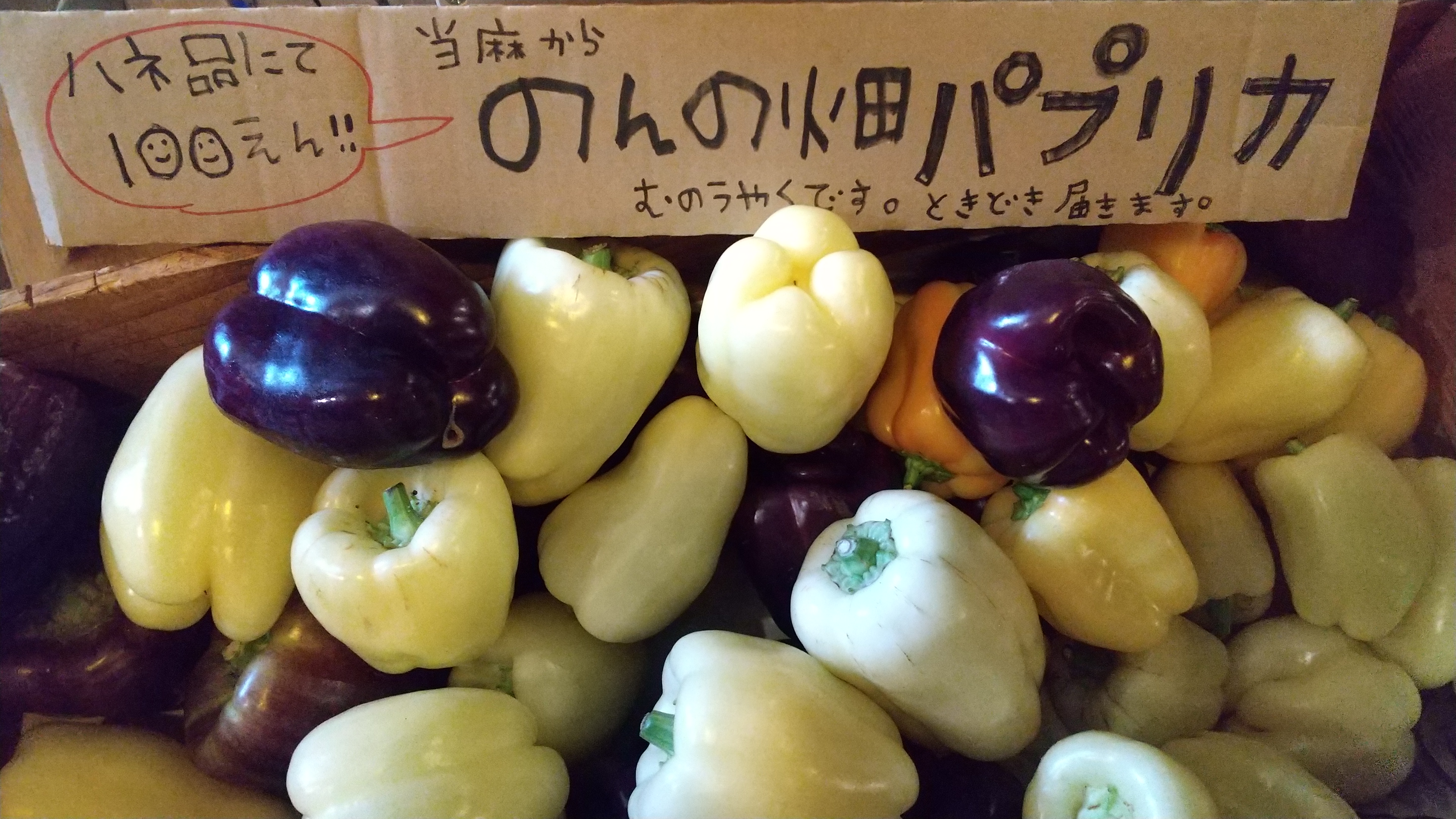 パプリカ&カボチャ🎃が入荷してますっ