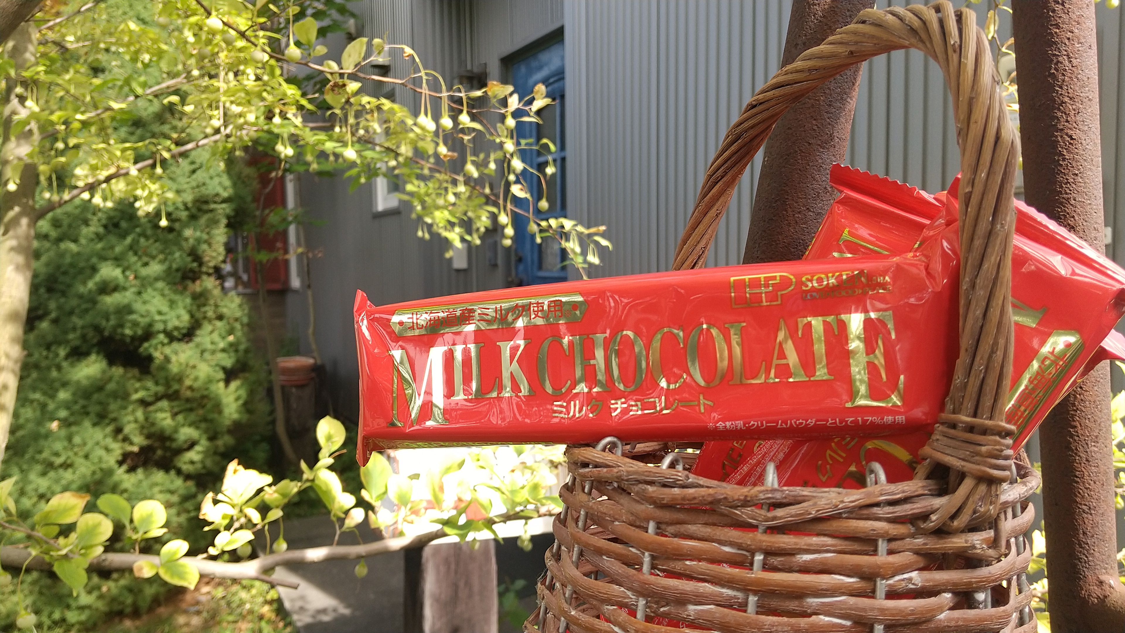 なんだか楽しくなってきた！