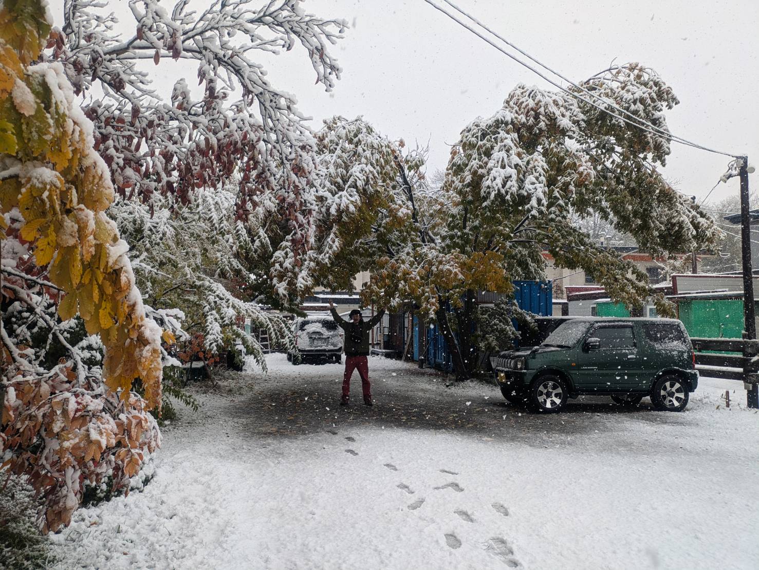 コチラ雪が降りましたー！！