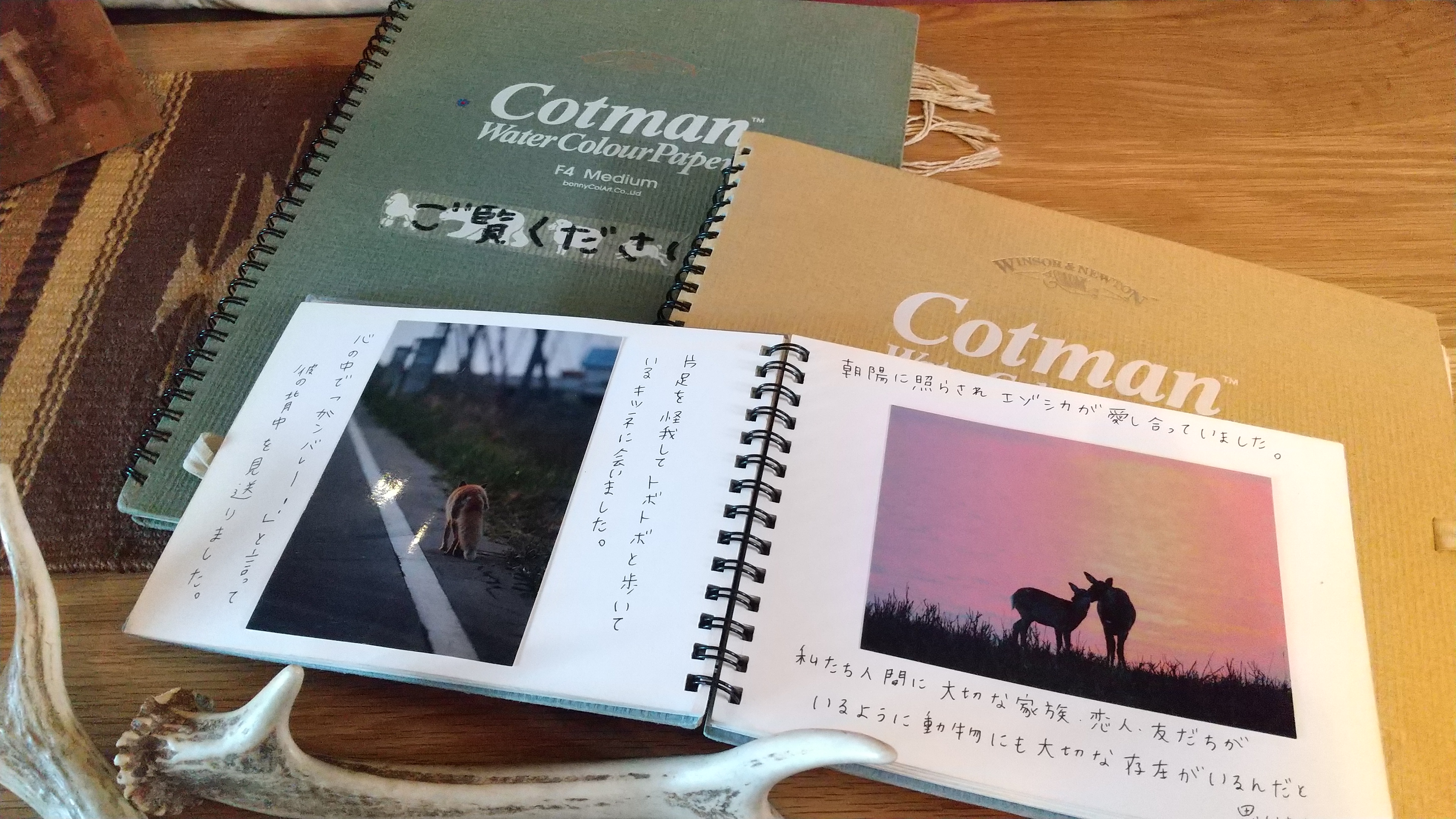 キツネの話と、おさがりのセーターの巻