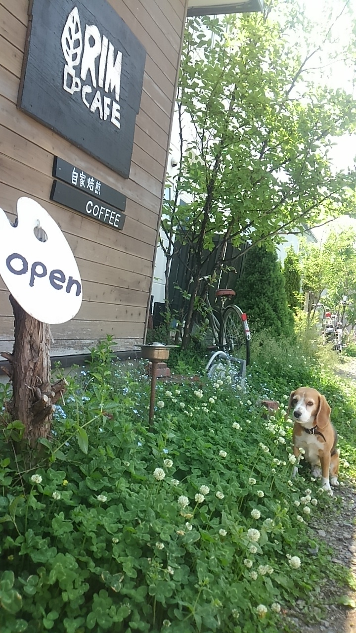 水、木、金のわくわく。