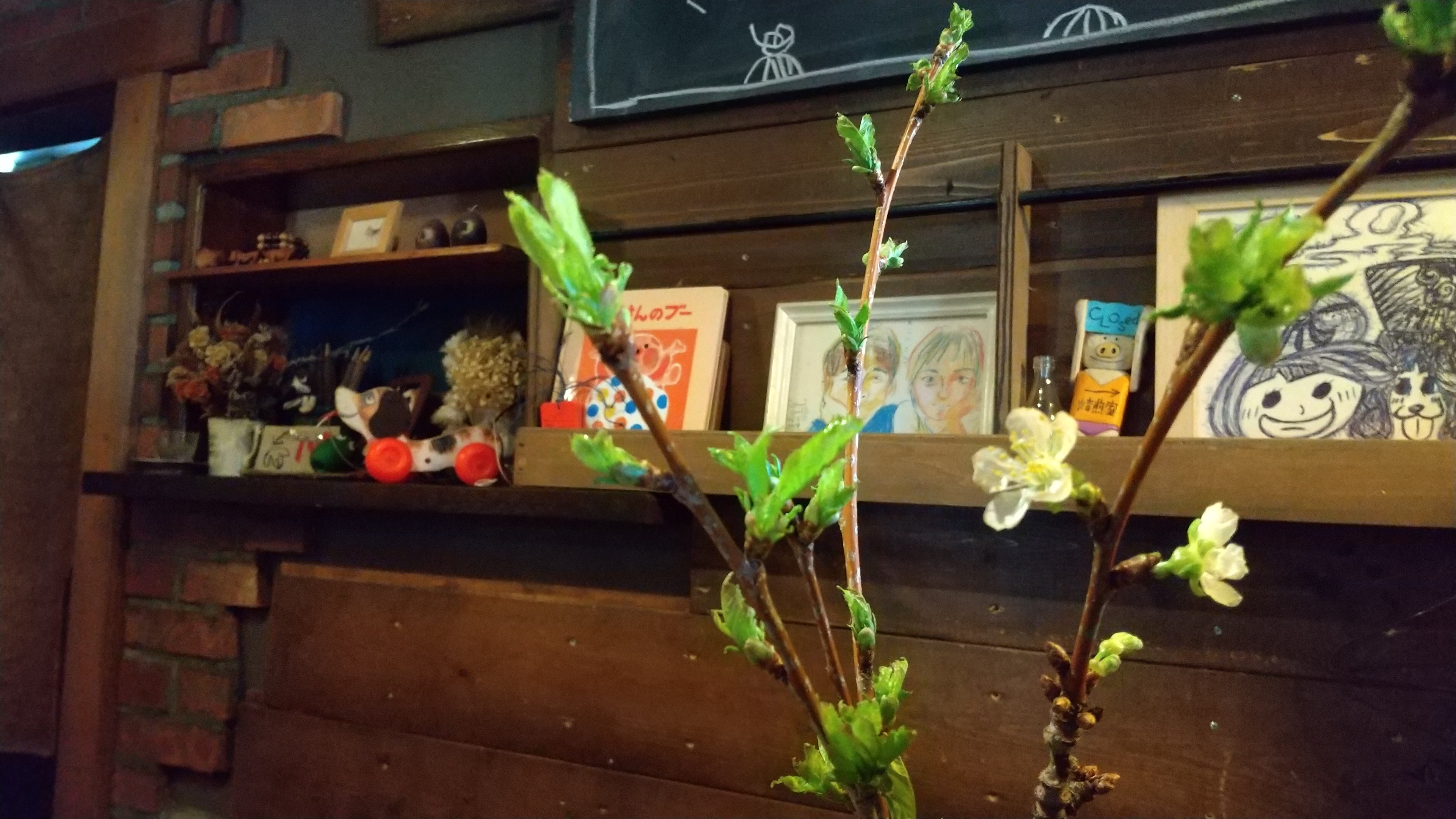 ４日(祝、水)はりむお休みです！