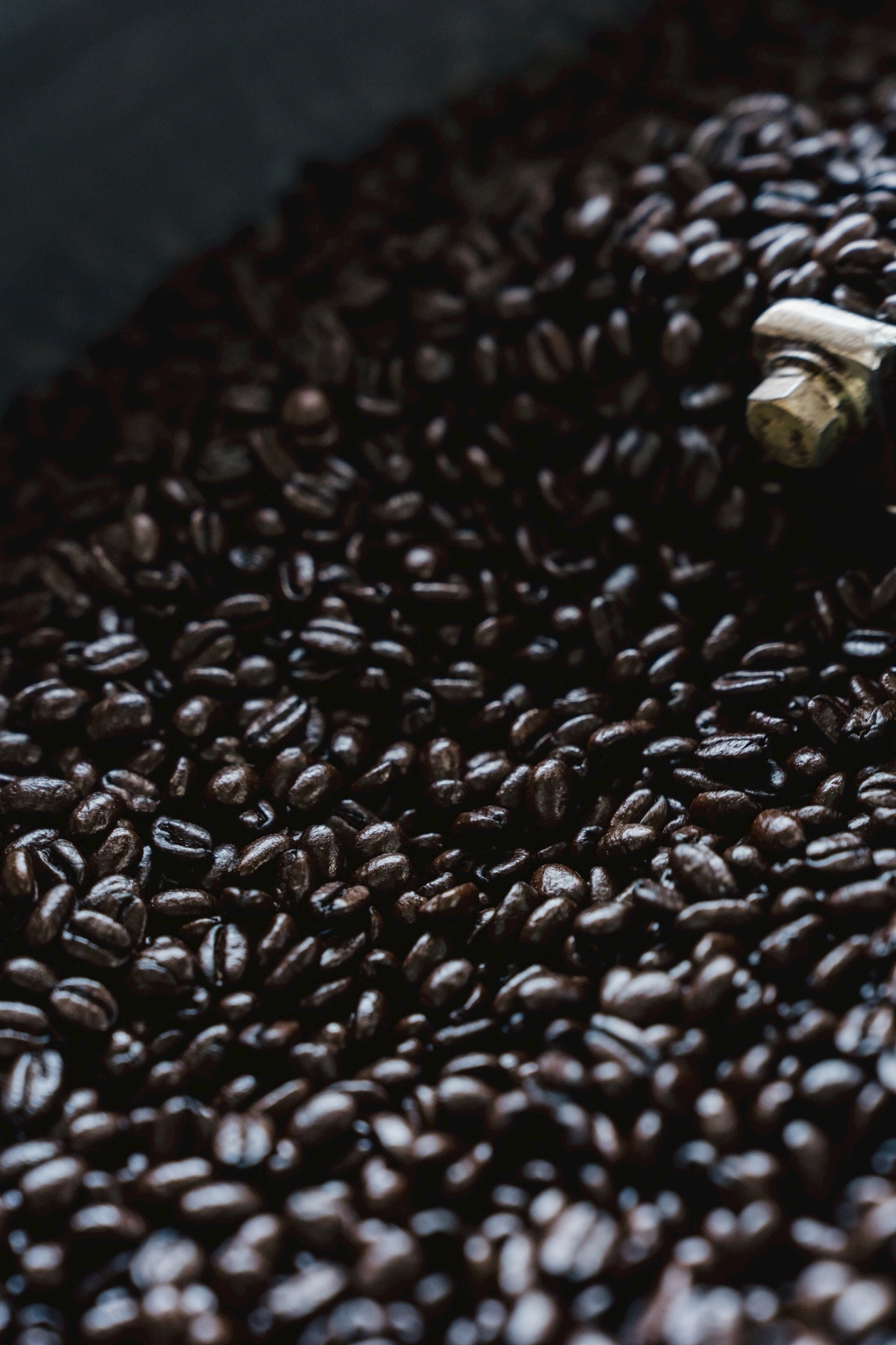 Aモカお休みしてAケニアが登場でっす！