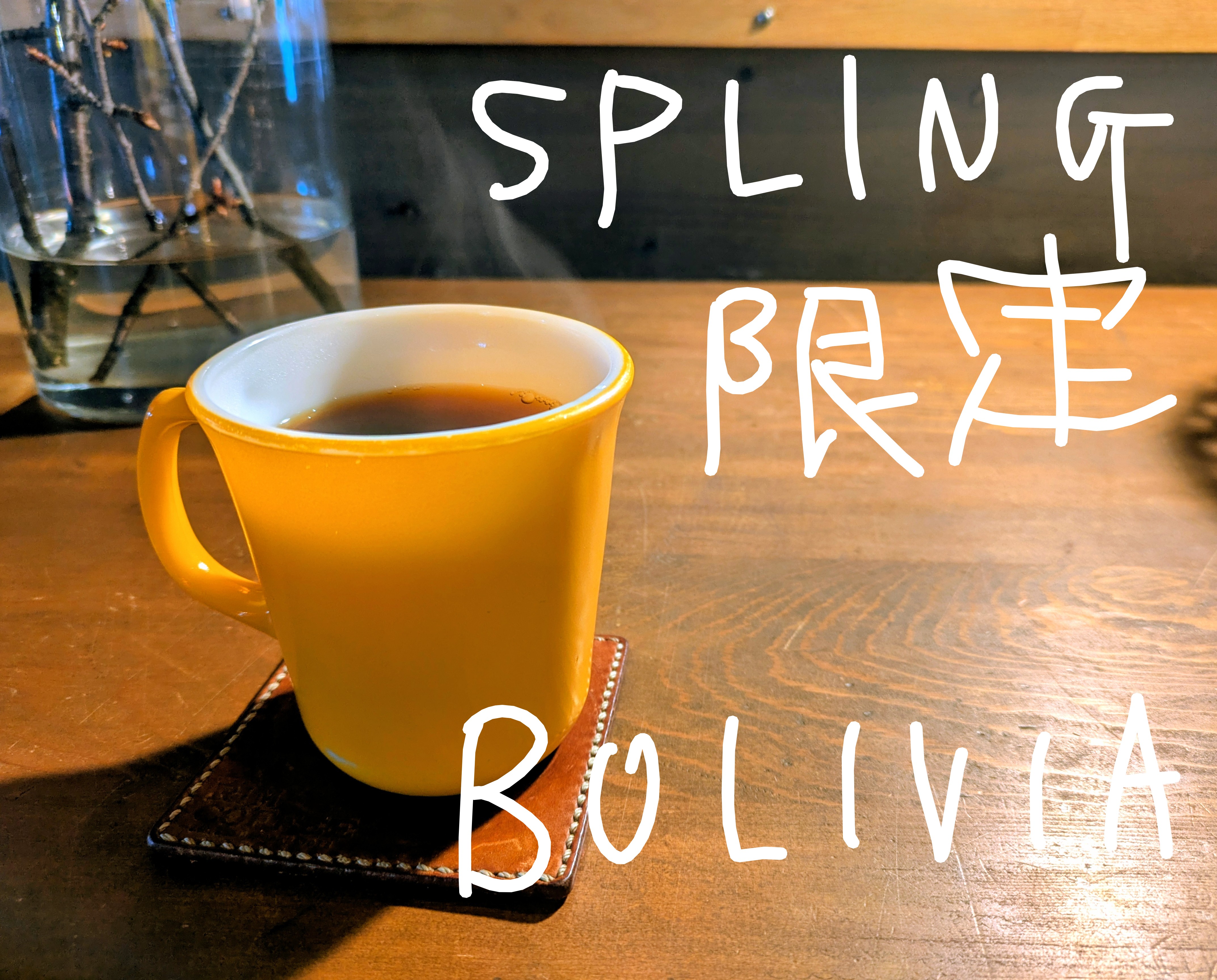 本日より春限定☆ボリビアありまっす！