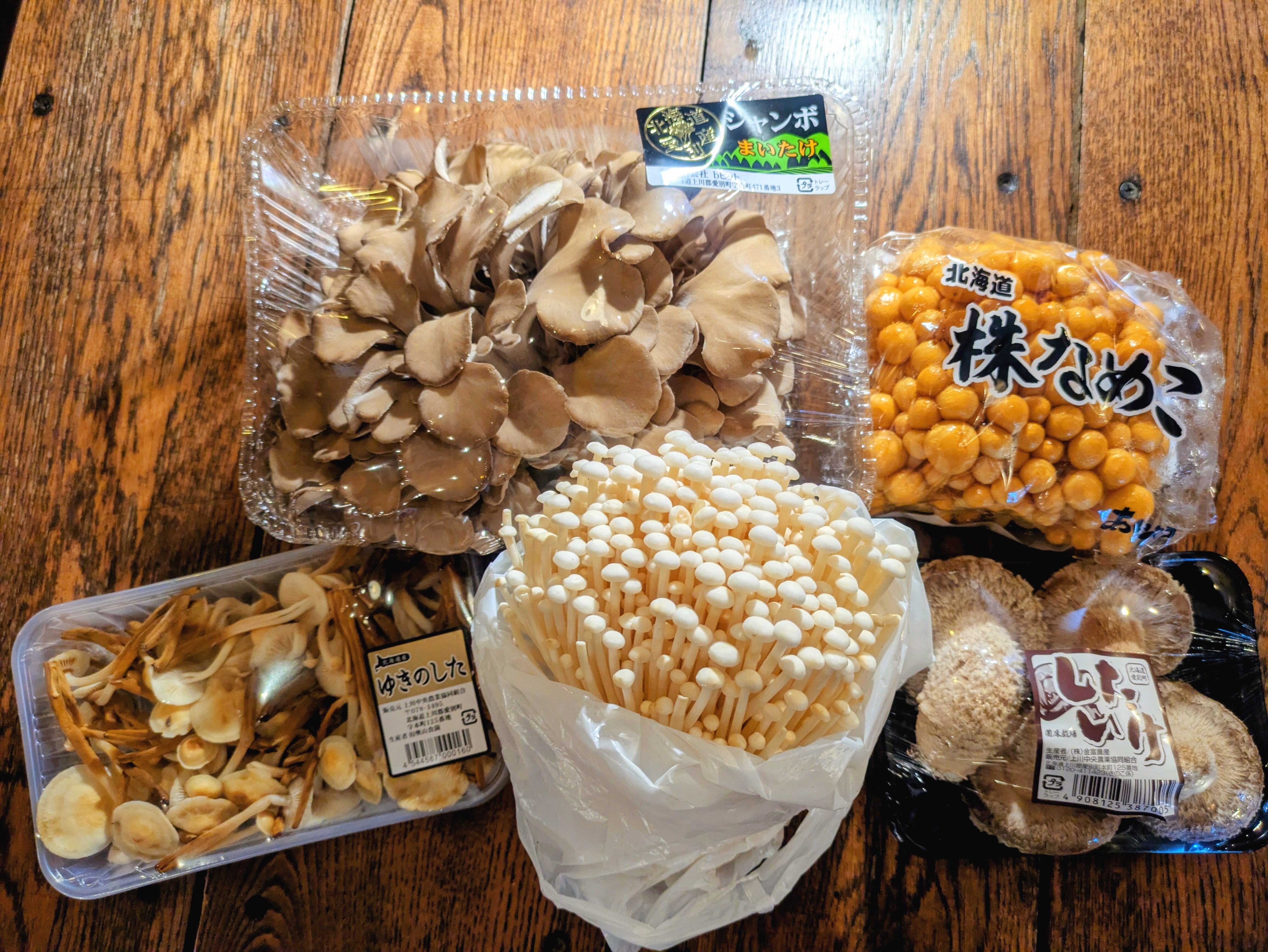 キノコ🍄倶楽部が復活したよー！